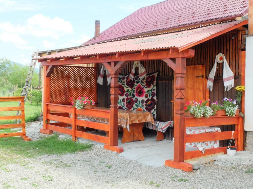 Pension Ioana Lavita Vadu Izei Exteriör bild