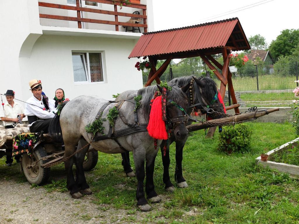 Pension Ioana Lavita Vadu Izei Exteriör bild
